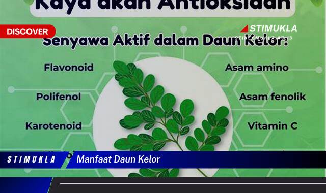 Ketahui 9 Manfaat Daun Kelor untuk Kesehatan, Kecantikan, dan Cara Mengolahnya