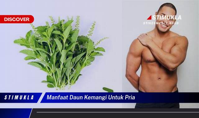 Ketahui 8 Manfaat Daun Kemangi untuk Pria, Meningkatkan Kesehatan dan Vitalitas Ketahui 8 Manfaat Daun Kemangi untuk Pria, Meningkatkan Kesehatan dan Vitalitas