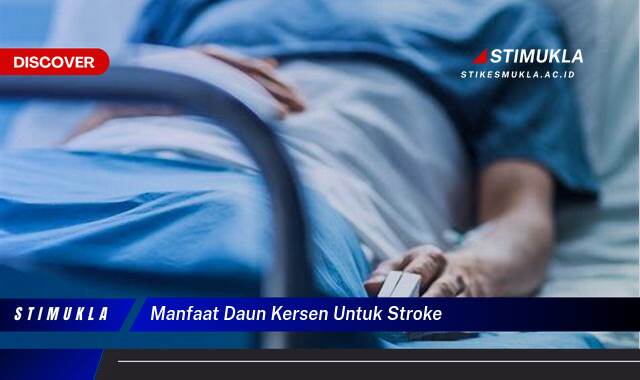 Temukan 10 Manfaat Daun Kersen Untuk Stroke, Pemulihan, Pencegahan, dan Perawatan