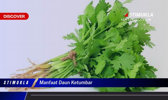 Ketahui 9 Manfaat Daun Ketumbar untuk Kesehatan, Kecantikan, dan Masakan Ketahui 9 Manfaat Daun Ketumbar untuk Kesehatan, Kecantikan, dan Masakan