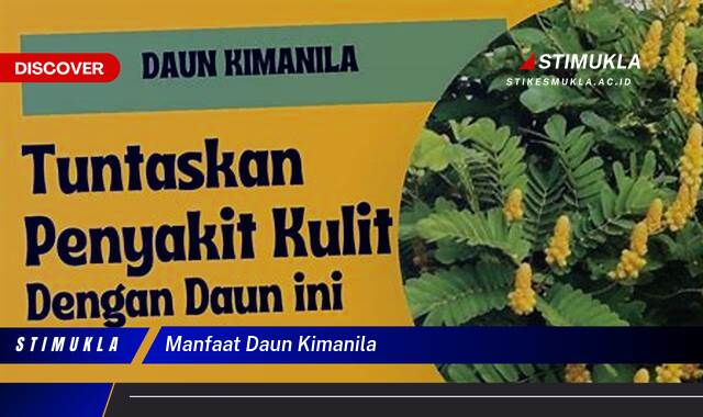 8 Manfaat Daun Kimanila, Ungkap Khasiat Tersembunyi