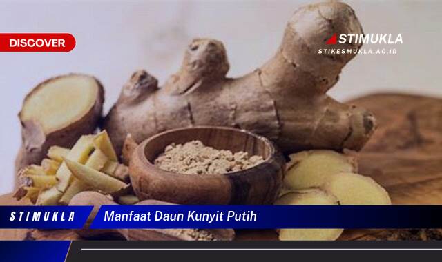 9 Manfaat manfaat daun kunyit putih Terungkap Khasiatnya Bagi Kesehatan