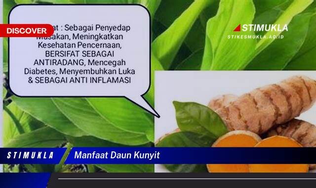 Ketahui 9 Manfaat Daun Kunyit untuk Kesehatan, Kecantikan, dan Masakan Ketahui 9 Manfaat Daun Kunyit untuk Kesehatan, Kecantikan, dan Masakan