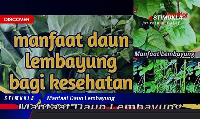 8 Manfaat Daun Lembayung untuk Kesehatan dan Kecantikan Kulit