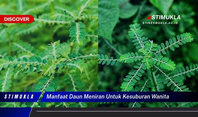9 Manfaat Daun Meniran untuk Kesuburan Wanita, Fakta Terbaru Terungkap!
