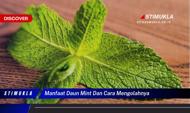 Ketahui 9 Manfaat Daun Mint untuk Kesehatan dan Berbagai Cara Mengolahnya Menjadi Minuman Segar dan Hidangan Lezat Ketahui 9 Manfaat Daun Mint untuk Kesehatan dan Berbagai Cara Mengolahnya Menjadi Minuman Segar dan Hidangan Lezat