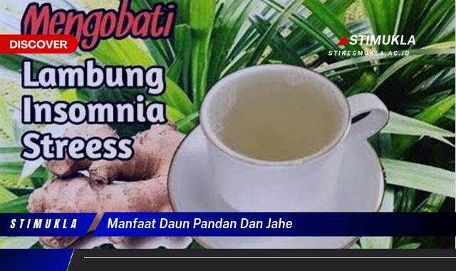 Ketahui 8 Manfaat Daun Pandan dan Jahe untuk Kesehatan Tubuh Anda