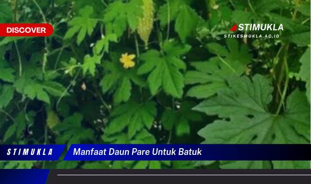 Temukan 8 Manfaat Daun Pare untuk Batuk Pilek dan Asma