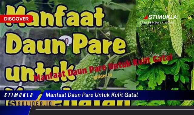 Temukan 9 Manfaat Daun Pare untuk Kulit Gatal Atasi Gatal dan Iritasi