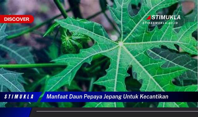 Temukan 9 Manfaat Daun Pepaya Jepang untuk Kecantikan Kulitmu yang Memukau