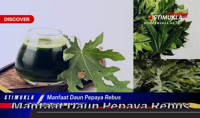 Ketahui 10 Manfaat Daun Pepaya Rebus untuk Kesehatan Anda