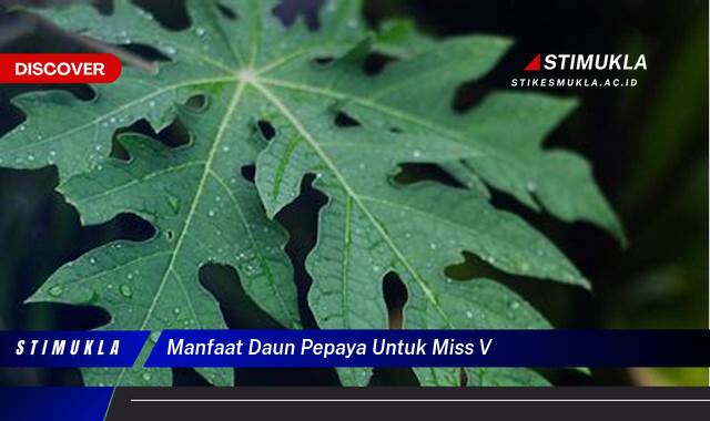 Ketahui 10 Manfaat Daun Pepaya untuk Kesehatan Miss V dan Cara Menggunakannya