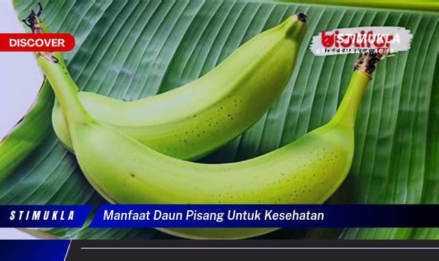 Ketahui 8 Manfaat Daun Pisang untuk Kesehatan Tubuh yang Mengejutkan