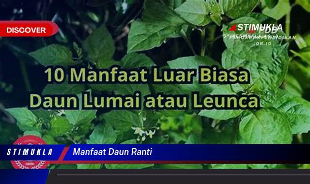 Temukan 9 Manfaat Daun Ranti untuk Kesehatan dan Kecantikan Anda