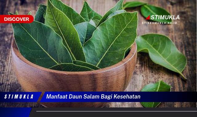 Ketahui 9 Manfaat Daun Salam bagi Kesehatan, Tips Praktis dan Efek Samping yang Perlu Diwaspadai