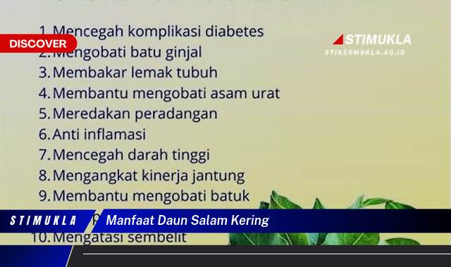 Ketahui 10 Manfaat Daun Salam Kering untuk Kesehatan, Kecantikan, dan Masakan