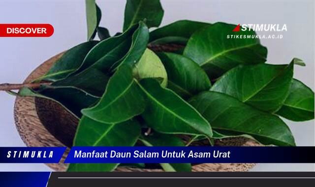 Inilah 8 Manfaat Daun Salam Untuk Asam Urat, Redakan Nyeri Secara Alami