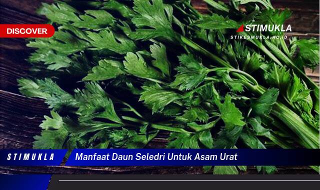 10 Manfaat manfaat daun seledri untuk asam urat Redakan Nyeri Lebih Cepat