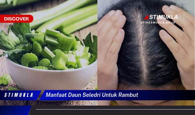 Inilah 10 Manfaat Daun Seledri untuk Rambut Lebih Lebat dan Sehat