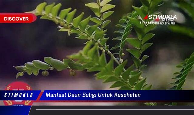 8 Manfaat Daun Seligi untuk Kesehatan, Khasiat Tersembunyi Alami