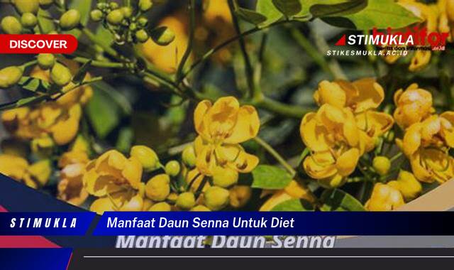 Ketahui 10 Manfaat Daun Senna untuk Diet, Turunkan Berat Badan Secara Alami dan Cepat