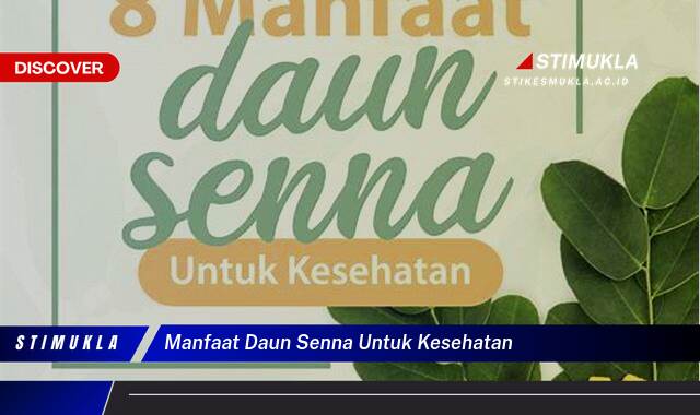 Ketahui 8 Manfaat Daun Senna untuk Kesehatan Tubuh Anda Secara Lengkap