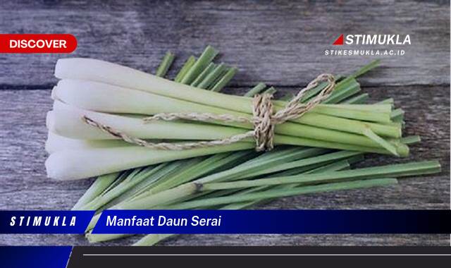 Ketahui 8 Manfaat Daun Serai untuk Kesehatan Tubuh dan Kecantikan Ketahui 8 Manfaat Daun Serai untuk Kesehatan Tubuh dan Kecantikan