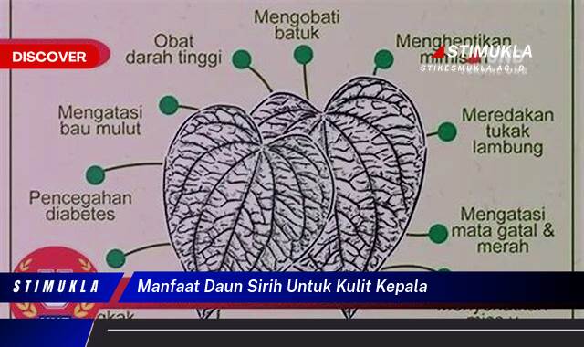 Temukan 10 Manfaat Daun Sirih untuk Kulit Kepala Atasi Ketombe dan Gatal