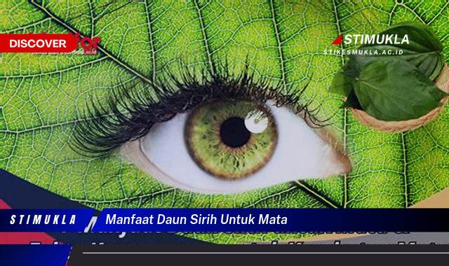 Ketahui 9 Manfaat Daun Sirih untuk Mata, Mengatasi Iritasi, Infeksi, dan Meningkatkan Kesehatan Mata Anda Ketahui 9 Manfaat Daun Sirih untuk Mata, Mengatasi Iritasi, Infeksi, dan Meningkatkan Kesehatan Mata Anda