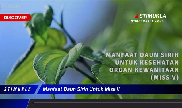 Ketahui 8 Manfaat Daun Sirih untuk Miss V, Solusi Alami Atasi Keputihan dan Gatal