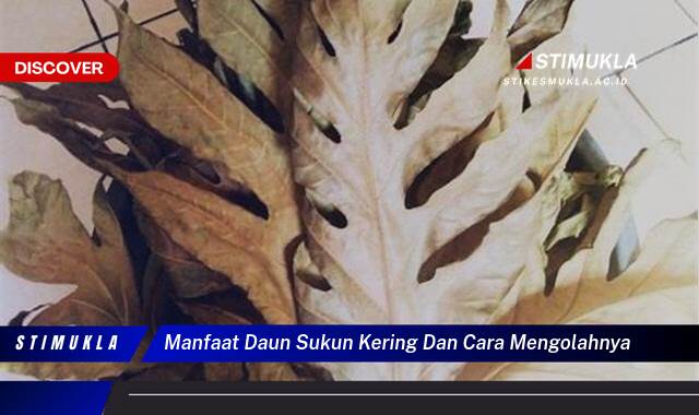 Ketahui 10 Manfaat Daun Sukun Kering untuk Kesehatan dan Cara Mengolahnya dengan Mudah