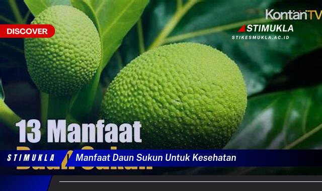 Temukan 9 Manfaat Daun Sukun untuk Kesehatan yang Mengejutkan