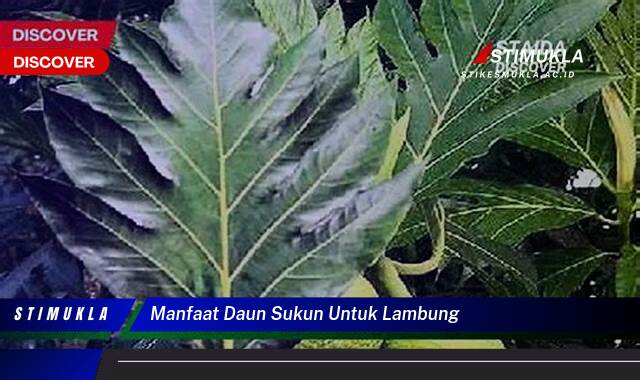 Ketahui 8 Manfaat Daun Sukun untuk Lambung Atasi Maag dan Tukak