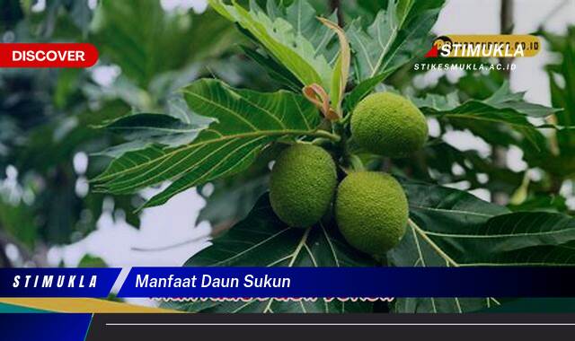 Ketahui 10 Manfaat Daun Sukun untuk Kesehatan Anda yang Menakjubkan Ketahui 10 Manfaat Daun Sukun untuk Kesehatan Anda yang Menakjubkan