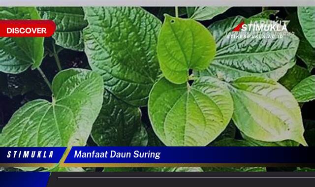 Temukan 10 Manfaat Daun Suring untuk Kesehatan dan Kecantikan