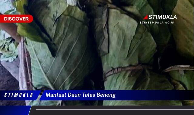 Ketahui 8 Manfaat Daun Talas Beneng untuk Kesehatan Anda