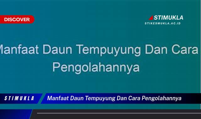 Ketahui 8 Manfaat Daun Tempuyung dan Cara Pengolahannya untuk Kesehatan Anda