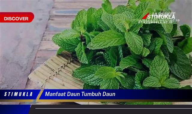 Temukan 10 Manfaat Daun Tumbuh Daun untuk Kesehatan dan Kecantikan Kulit