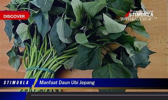 8 Manfaat manfaat daun ubi jepang Temukan Khasiatnya Sekarang