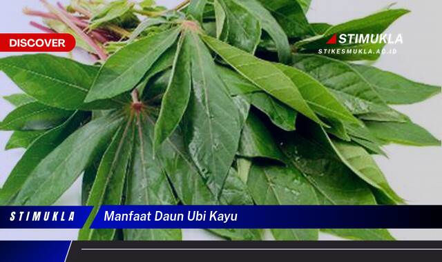 Ketahui 10 Manfaat Daun Ubi Kayu untuk Kesehatan, Dari Nutrisi Hingga Pengobatan Tradisional