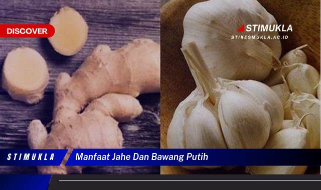 9 Manfaat Jahe dan Bawang Putih, Temukan Khasiat Alami