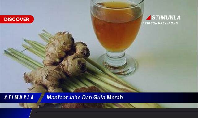 Inilah 9 Manfaat Jahe dan Gula Merah untuk Kesehatan Tubuh Anda