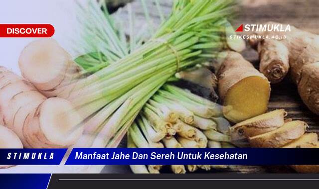 8 Manfaat manfaat jahe dan sereh untuk kesehatan, Terungkap Khasiatnya!