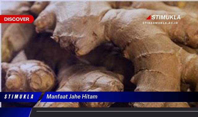 Ketahui 8 Manfaat Jahe Hitam untuk Kesehatan Tubuh Anda Ketahui 8 Manfaat Jahe Hitam untuk Kesehatan Tubuh Anda