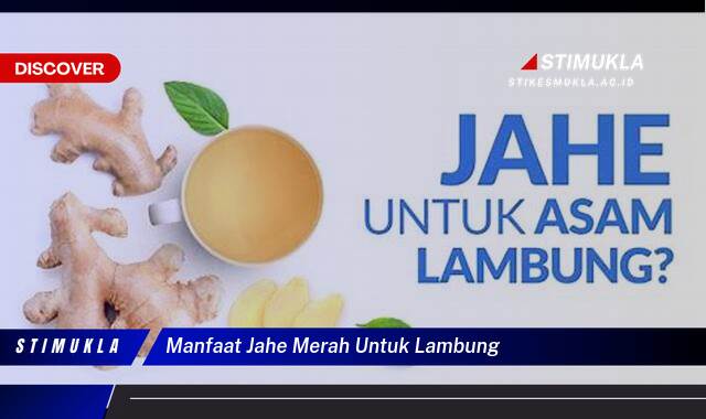 Ketahui 9 Manfaat Jahe Merah untuk Lambung Redakan Mual dan Kembung