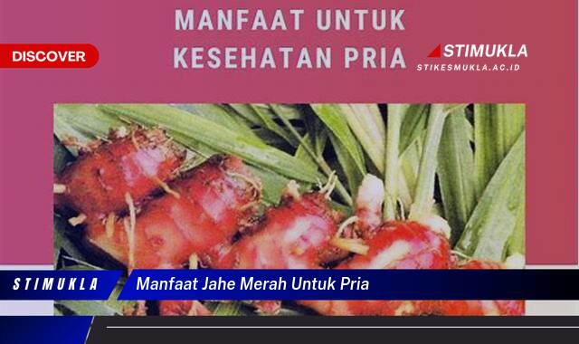 Ketahui 9 Manfaat Jahe Merah untuk Pria, Meningkatkan Kesehatan dan Vitalitas