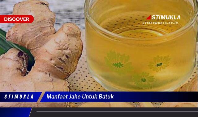 Ketahui 9 Manfaat Jahe untuk Batuk, Redakan Batuk Secara Alami dan Cepat Ketahui 9 Manfaat Jahe untuk Batuk, Redakan Batuk Secara Alami dan Cepat