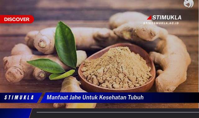 Inilah 8 Manfaat Jahe untuk Kesehatan Tubuh yang Mengejutkan