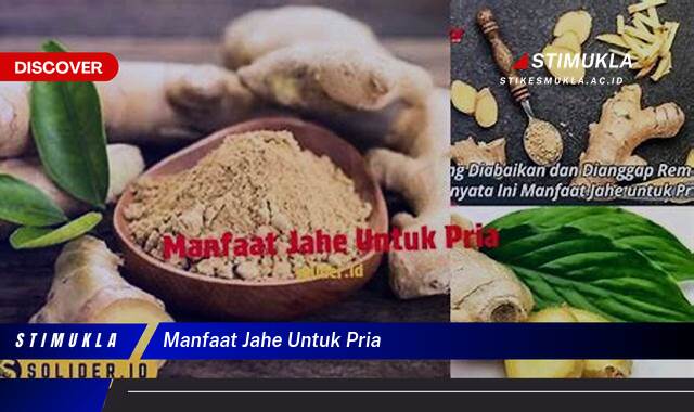 Ketahui 10 Manfaat Jahe untuk Pria, Meningkatkan Kesehatan dan Vitalitas Ketahui 10 Manfaat Jahe untuk Pria, Meningkatkan Kesehatan dan Vitalitas