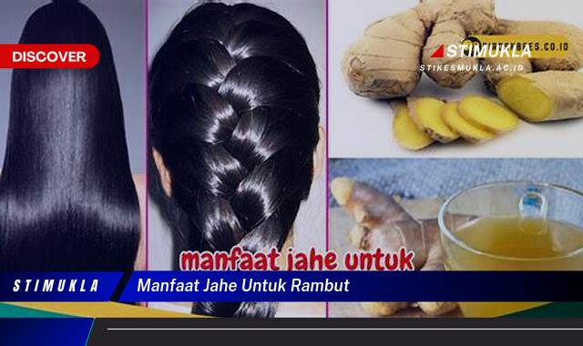 Ketahui 9 Manfaat Jahe untuk Rambut, Stimulasi Pertumbuhan dan Atasi Kerontokan Ketahui 9 Manfaat Jahe untuk Rambut, Stimulasi Pertumbuhan dan Atasi Kerontokan